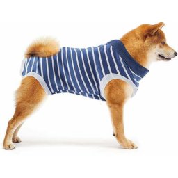 Dog Recovery Suit Protecteur de plaie abdominale pour chien Combinaison de récupération pour chien