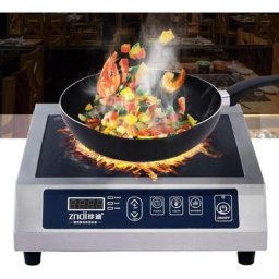 Plaque de cuisson à induction électrique avec protection contre la surchauffe et détection