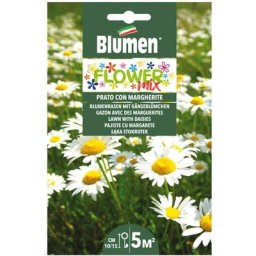 Mélange de graines à litière fleurie marguerites Blumen