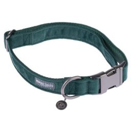 Collier Nomad Tales Blush, émeraude pour chien - taille S : tour de cou 30 - 46 cm, l 15 mm