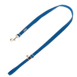 Collier Nomad Tales Bloom, saphir pour chien - laisse assortie : L 200 cm, l 20 mm