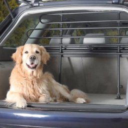 Grille de protection Trixie pour voiture L85 140xH75 110cm pour chien
