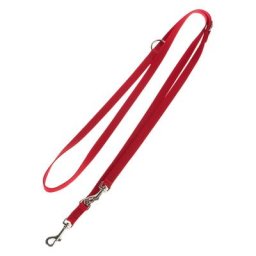 Lot Hunter : collier Ecco Sport (taille S) + laisse rouge L 200 x l 1,5 cm