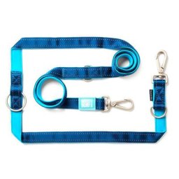 Laisse multifonctions Max & Molly Matrix, bleu ciel taille S L 200 5 cm - pour chien