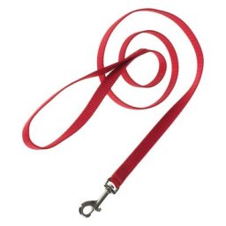 Lot Collier S + laisse : collier Hunter Ecco Sport + laisse rouge L110 l1,5cm