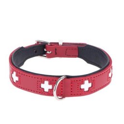 Collier Hunter Swiss taille 60 tour de cou 47-54 cm - pour chien