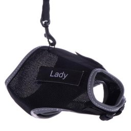 Harnais et laisse XCat Trixie avec sticker noir - pour chat