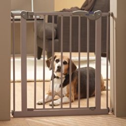 Barrière Savic Dog Barrier L 75 84 x H 75 cm