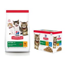 7kg Kitten poulet Hill's Science Plan croquettes pour chat + 12x85g Kitten viande et poisson Hill's Science Plan nourriture humide pour chat offerte