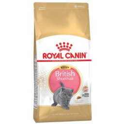 2x10kg Kitten British Shorthair Royal Canin - Croquettes pour chaton British Shorthair