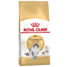 2x10kg Norvégien Royal Canin Croquettes pour chat Norwegian Forest Cat