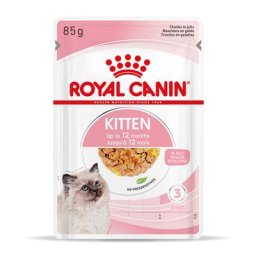 48x85g Kitten en gelée Royal Canin - Pâtée pour chat