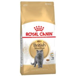 4kg British Shorthair Royal Canin Croquettes pour chat