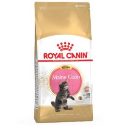 2x10 kg Maine Coon Kitten Royal Canin - Croquettes pour chaton Maine Coon