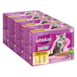 Mégapack Whiskas Junior 48 x 85 g pour chaton - Sélection de volaille en gelée