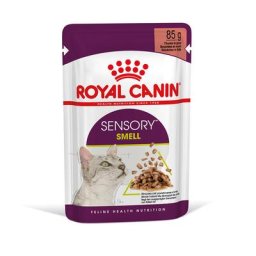 24x85g Sensory Smell en sauce Royal Canin - Pâtée pour chat