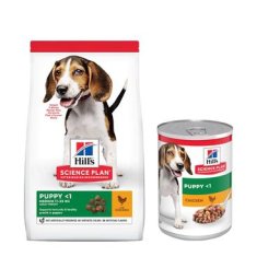 14kg Puppy <1 Medium poulet Science Plan Hill's Croquettes pour chiot + 6 sachets offerts !
