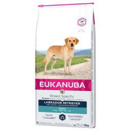 12kg Adult Breed Specific Labrador Retriever Eukanuba - Croquettes pour chien