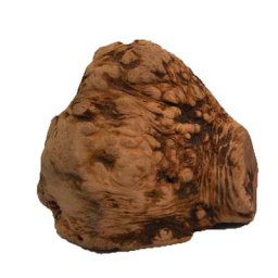 Racine à mâcher Chewies 1 friandise taille L - Friandises pour chien