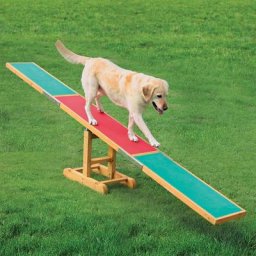 Balançoire Agility Trixie pour chien L300xl34xH54cm
