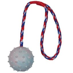 1 Balle Trixie en caoutchouc avec corde - Jouet pour chien