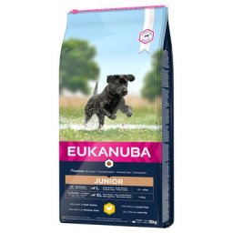 15kg Eukanuba Junior Large Breed poulet - Croquettes pour chien