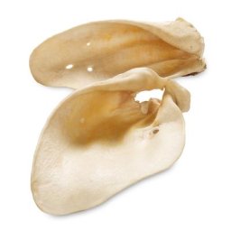 10 friandises Oreilles de bœuf de Bavière Premium - Friandises pour chien