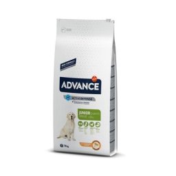 2x14kg Maxi Junior Chicken Affinity Advance - Croquettes pour chien