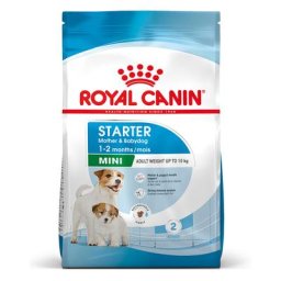 2x8kg Royal Canin Mini Starter Mother & Babydog - Croquettes pour chien