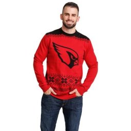 Pull Arizona Cardinals Forever Collectibles 2021 Big Logo 2 Color - Hommes