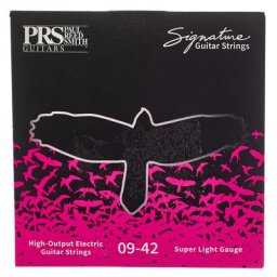 PRS Signature Strings 009 SL