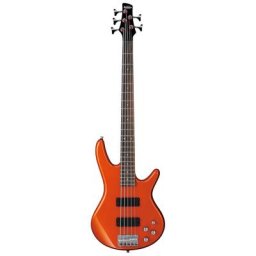 Ibanez GSR205-ROM