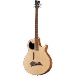 Warwick Alien 4 NT