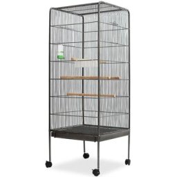 Vidaxl - Cage à oiseaux Noir 54 x 54 x 146 cm Acier Noir