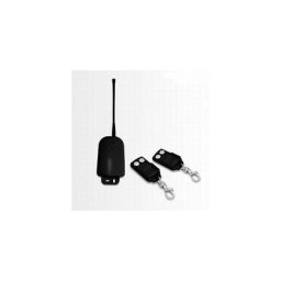 GBS - 02172QN20130212 Récepteur pour Automatisme de portail à l'extérieur + 2 Télécommandes