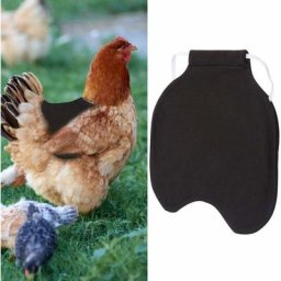 Blue Dream - Selles de poules, tabliers de protection volailles, pulls de poules, selles de poules,