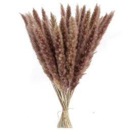 30pcs Fleurs Séchees Naturelles Brun Herbe Pampas Sechees Décoration pour Maison Table Balcon