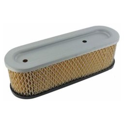 Briggs&stratton - Filtre a air 399806s , 491519 pour Moteur de tondeuse