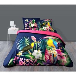 Douceur D'intérieur - Parure de couette + 2 taies 240 x 220 cm imprimé 42 fils Toucan bleu