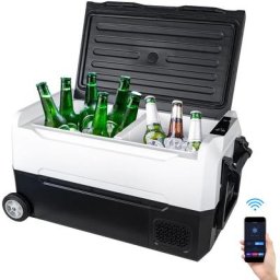 Glacière Électrique 35L wlan Portable pour Voiture avec Étagère Démontable Noir&Blanc - Noir