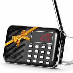 Harry - Portable am/fm Transistor Radio MP3 Music Player (Noir) ha
