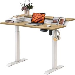 Fenge Bureau Assis Debout avec USB Port - 120x73,5cm Bureau Électrique Réglable en Hauteur