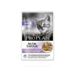 Kitten en sauce ï¿½ la dinde
