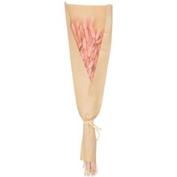 Bouquet fleurs séchées Queue de lapin - H58 cm Atmosphera créateur d'intérieur - Rose
