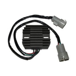 Contrôleur de charge ElectroSport ESR 442