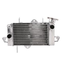 motoprofessionnel Refroidisseur d’eau Yamaha R125, 12-20