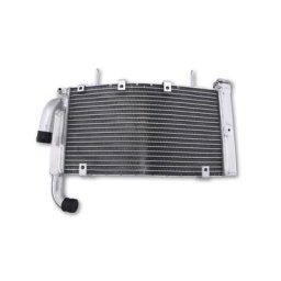 motoprofessional Refroidisseur d’eau DUCATI 749 999