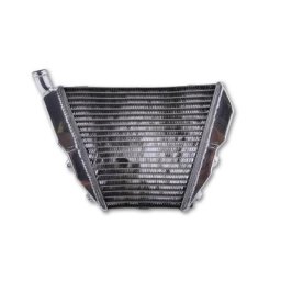 motoprofessional Water cooler DUCATI Streetfighter/S /1098 S / 848, fond