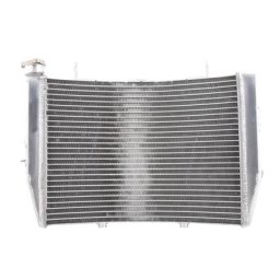 motoprofessionnel Refroidisseur d’eau, SUZUKI GSX-R1000, argent