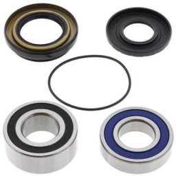 ALL BALLS Kit roulements de roue arrière Suzuki LT-Z250/Ozark